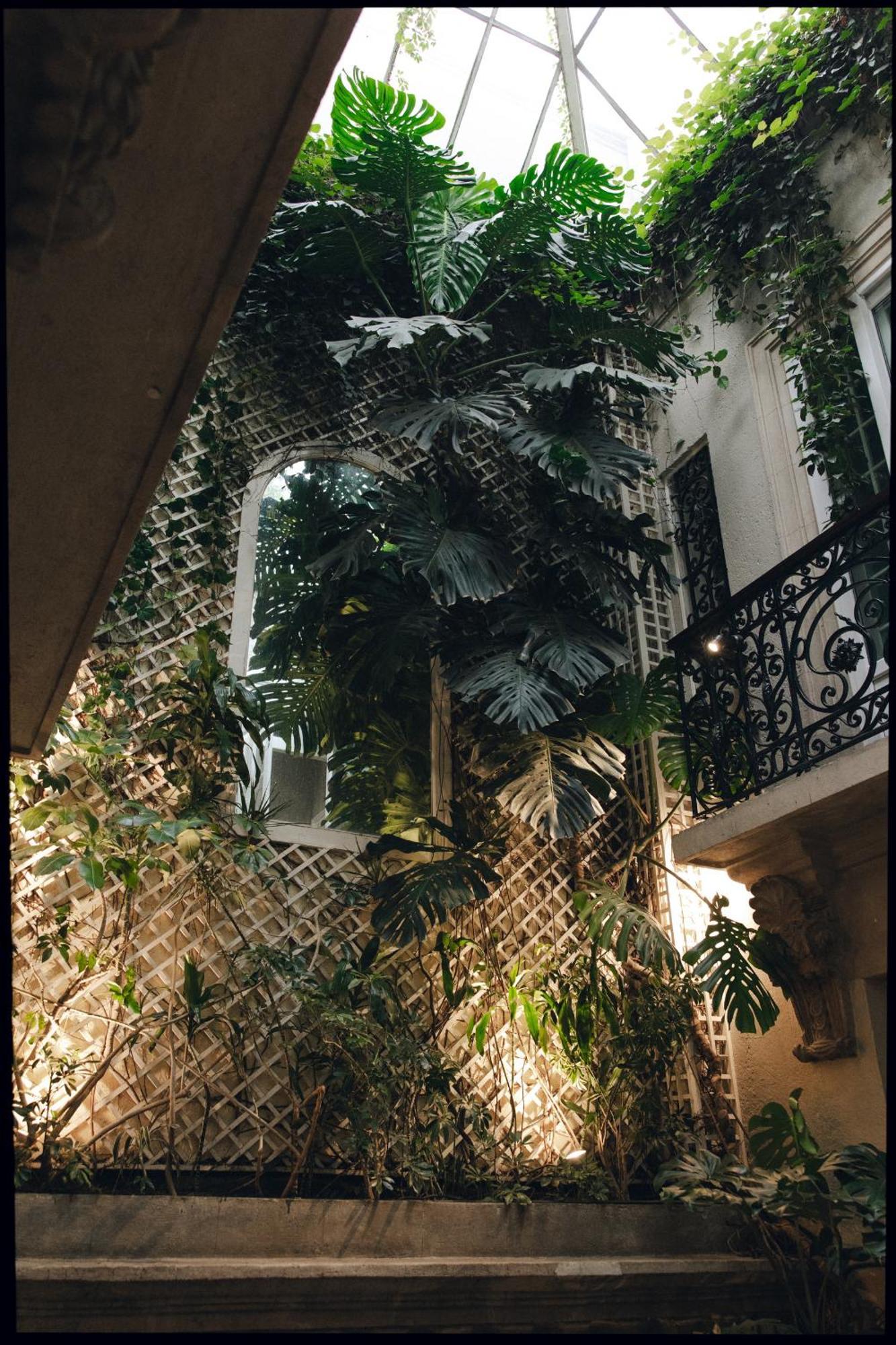 Nima Local House Hotel & Spa Mexico City Exterior photo