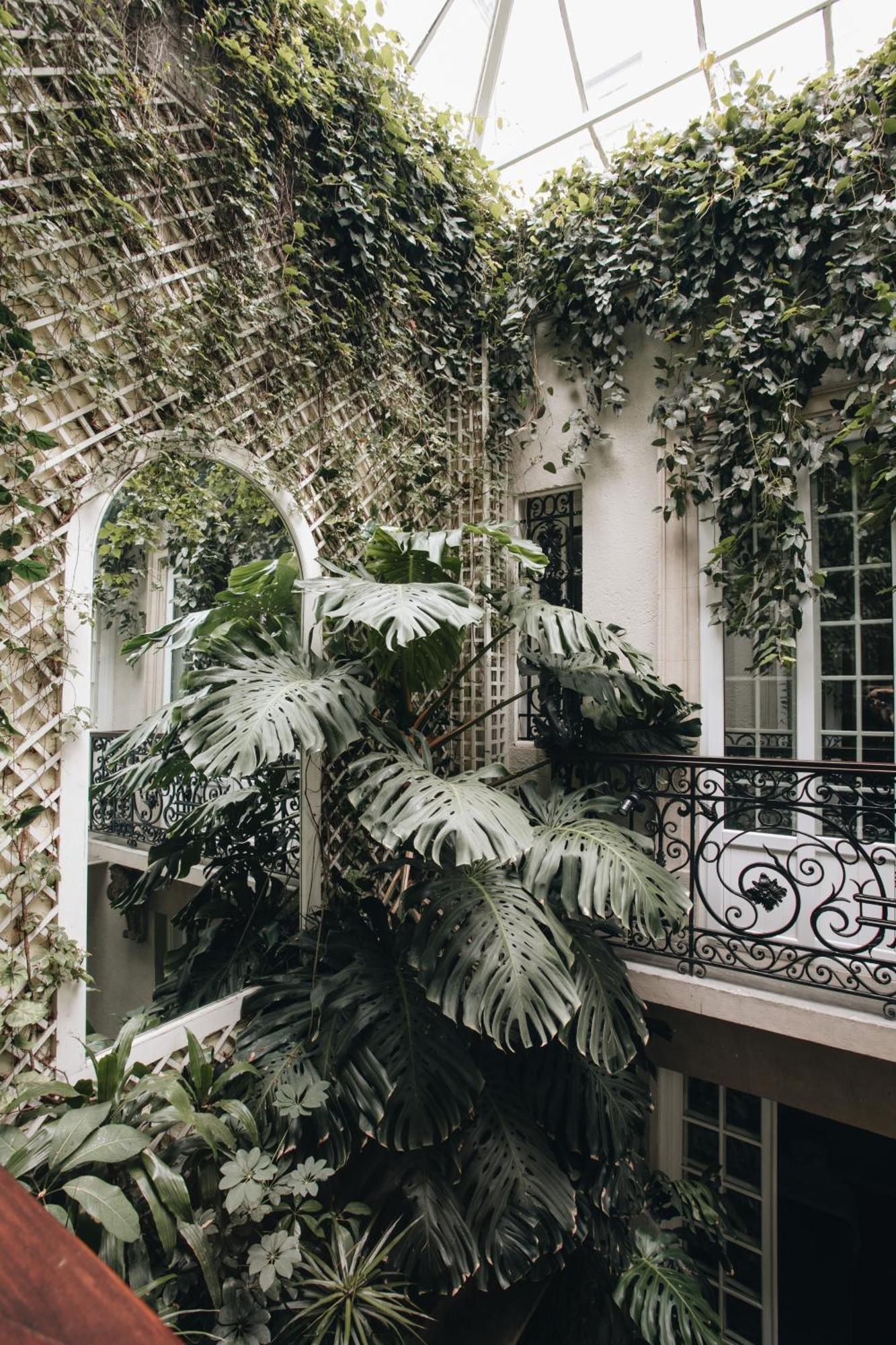 Nima Local House Hotel & Spa Mexico City Exterior photo