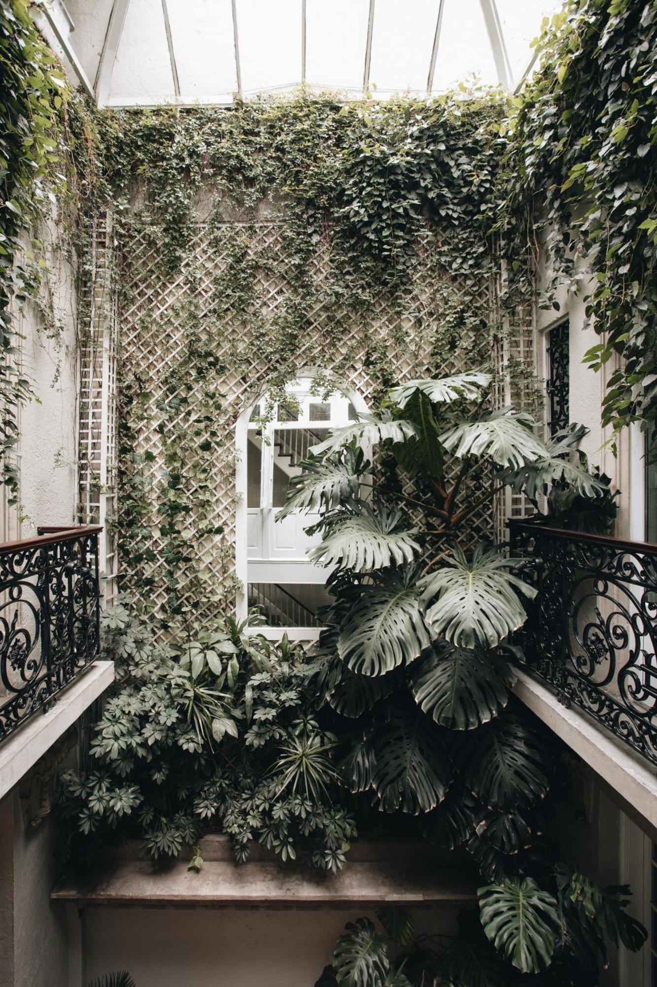 Nima Local House Hotel & Spa Mexico City Exterior photo